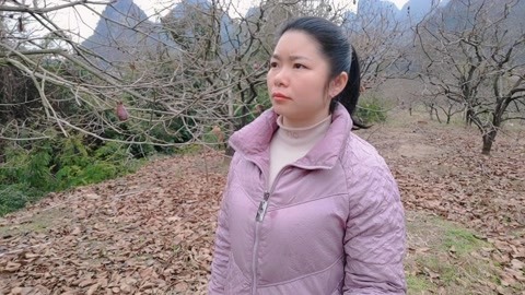 未婚女子回归乡村的新旅程与心灵感悟