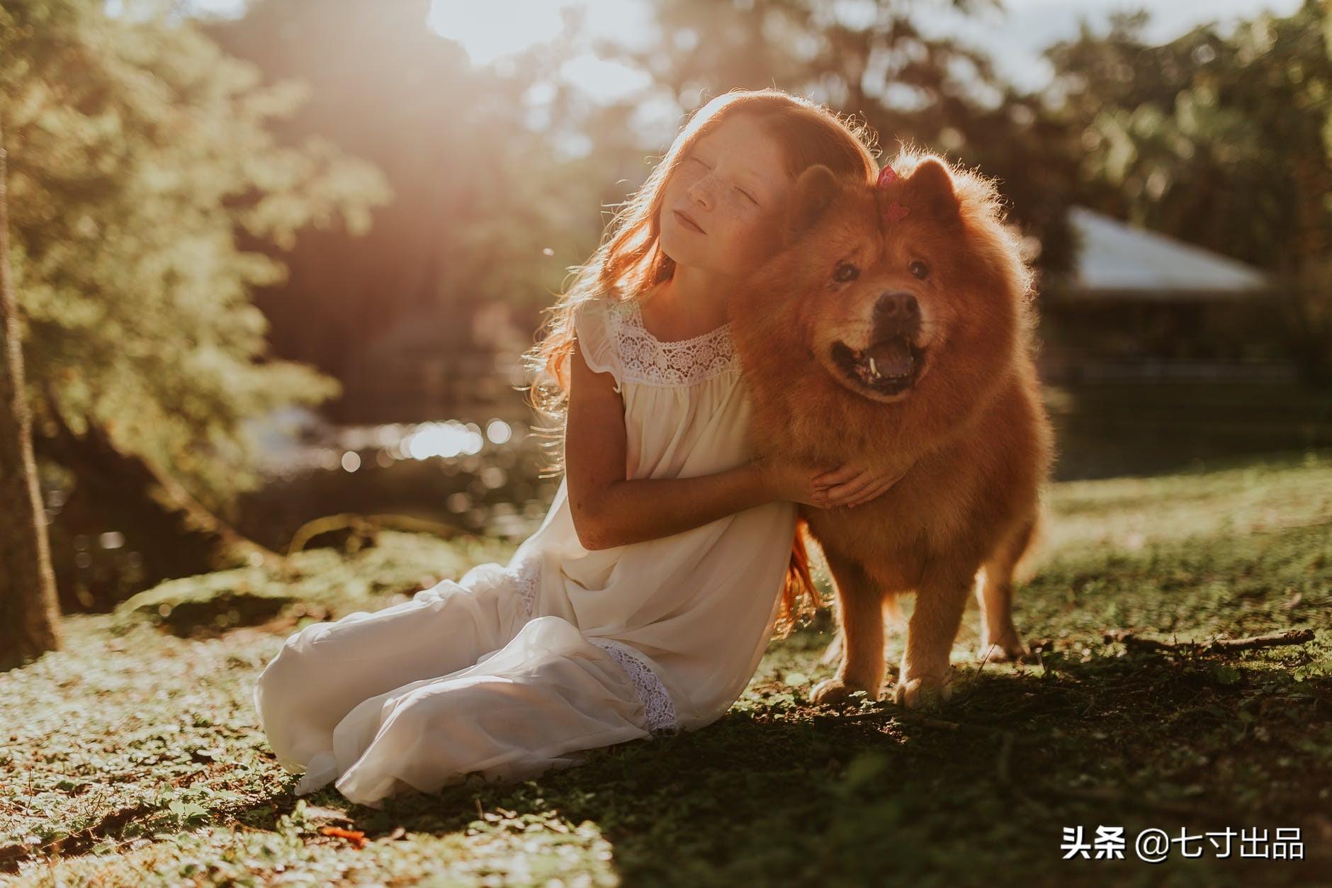 家庭教育对孩子责任感塑造的深远影响