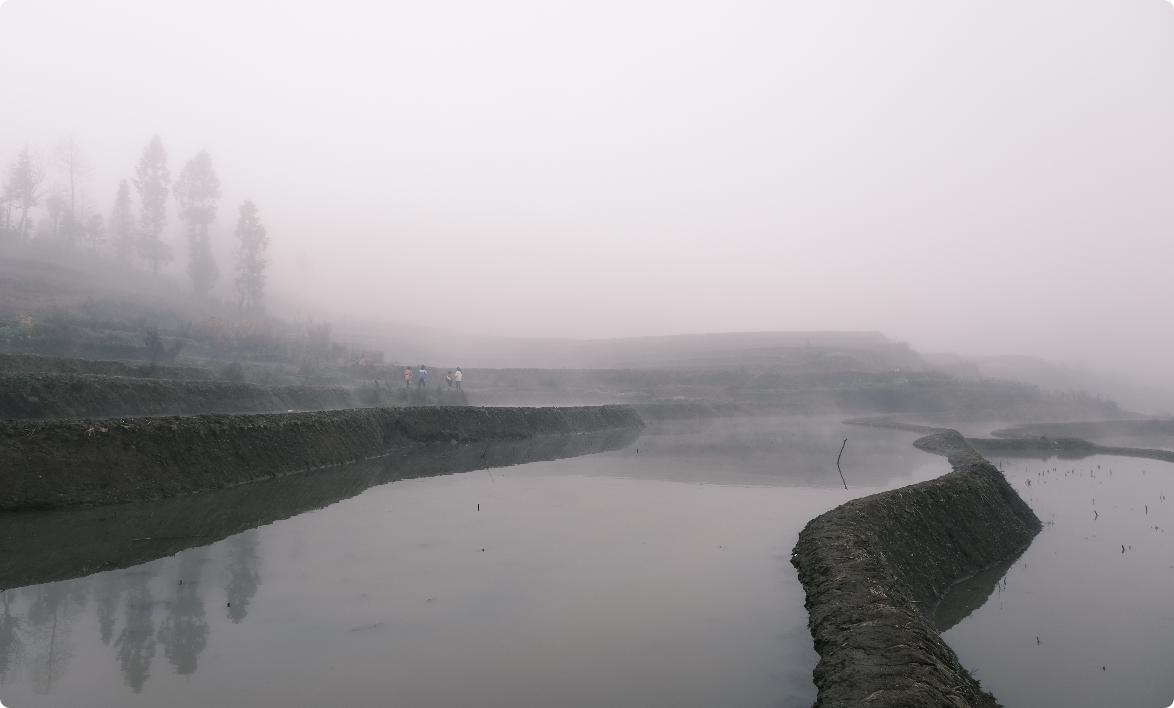 春节机票价格大跳水，航空市场新变化带来消费者福音，最高降幅近七成