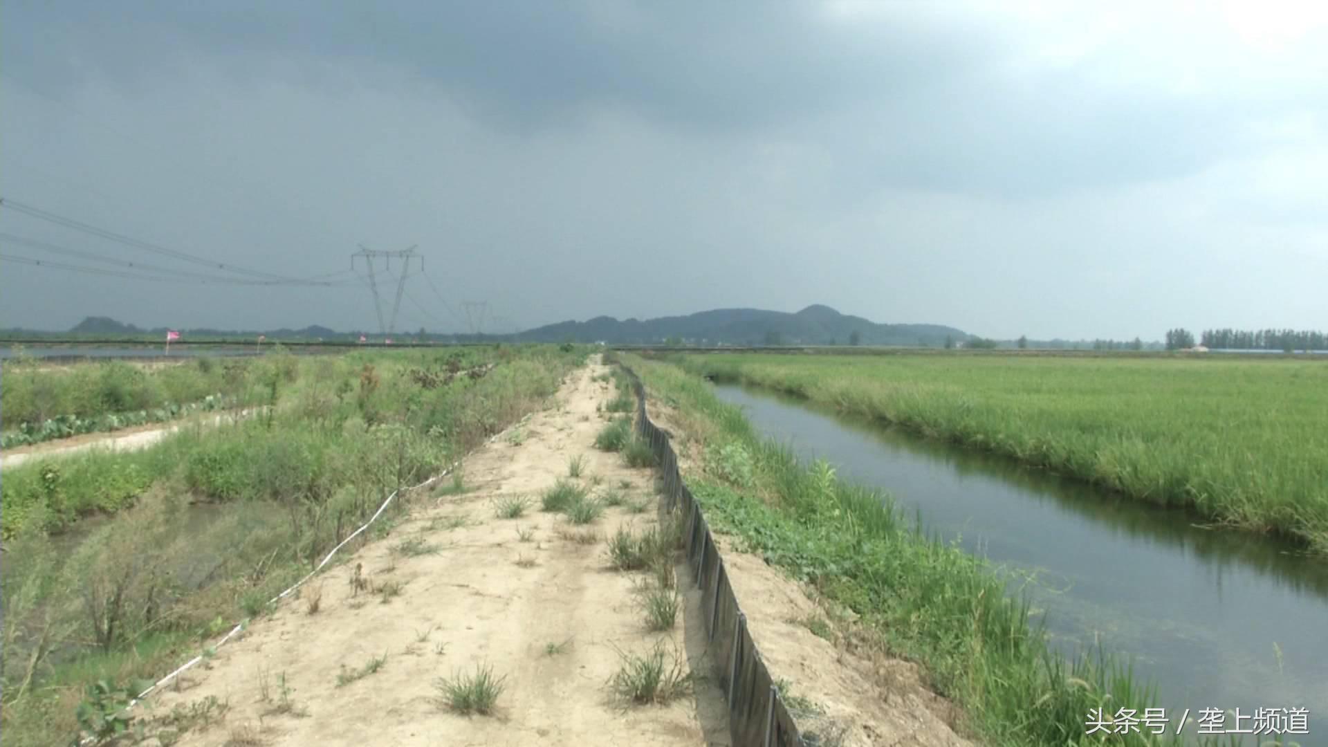 雨水家庭灌溉，环保高效农业实践之道