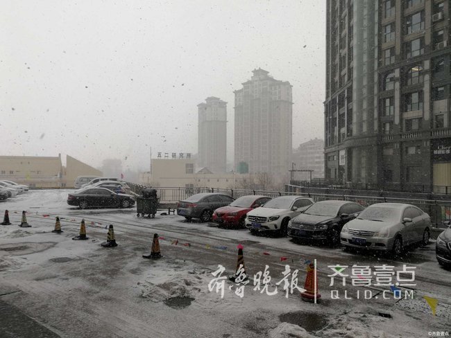 烟台冬日鹅毛大雪，惊喜与挑战并存