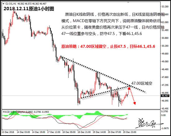 全球股市新高后的回撤现象，市场波动中的挑战与机遇