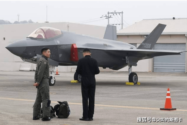 韩国空难与花脸鸭吸入事件，事故原因探究与启示