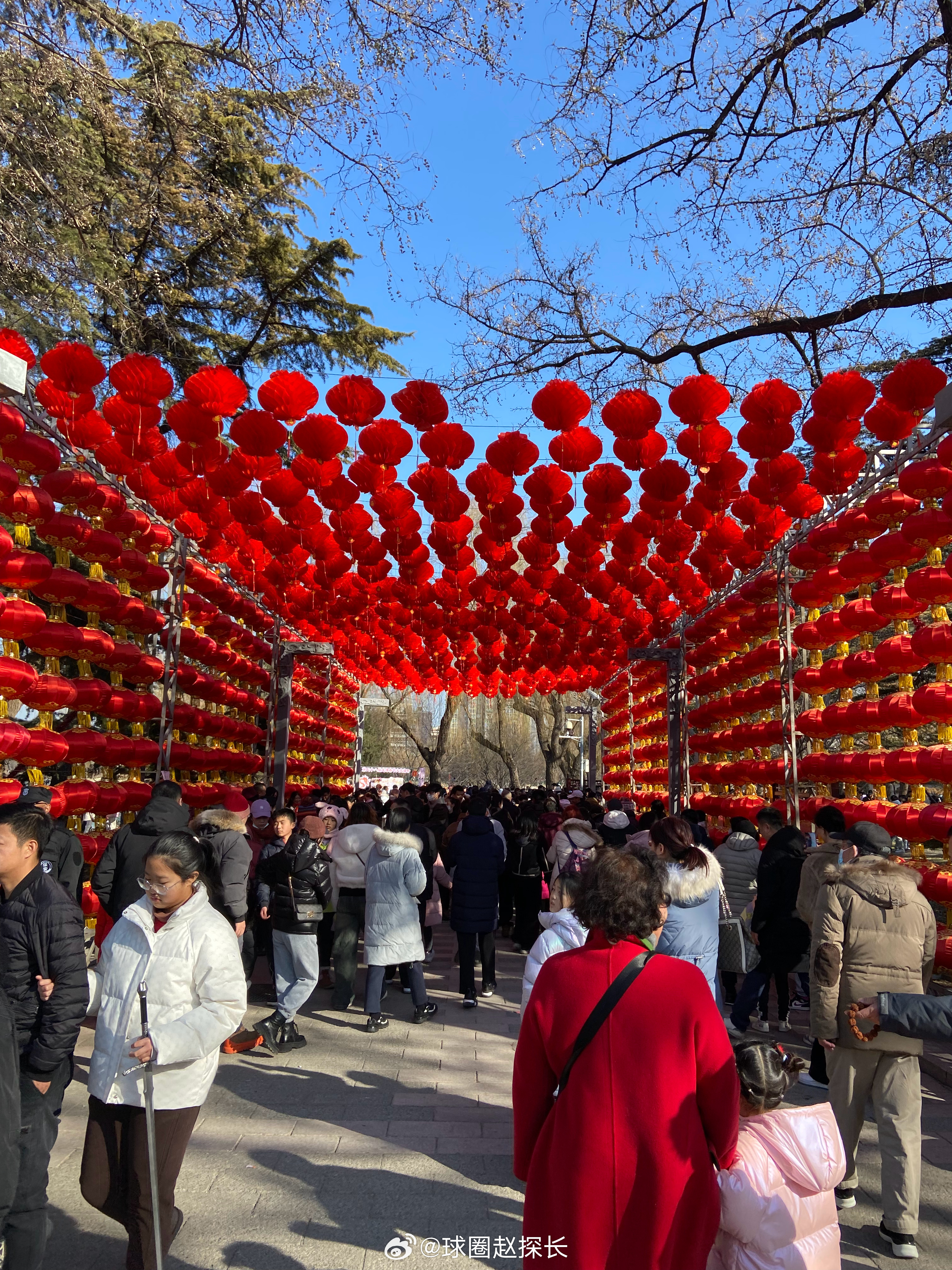 正月初一庙会盛况，热闹非凡的盛典启幕