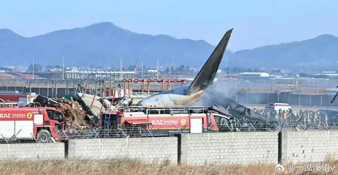 韩国金海机场飞机火灾紧急应对与反思，惊险一刻引发深思