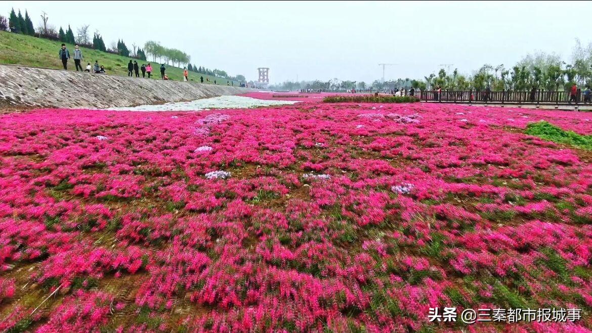 旅行中如何保持皮肤水润的秘诀